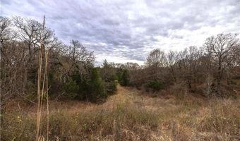 Tract 2 Acme RD, Asher, OK 74826
