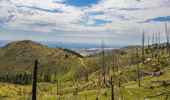 0 Pine Acres, Bellvue, CO 80512