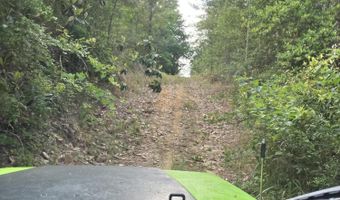 40 Acres Forestry Road 356, Beaumont, MS 39423
