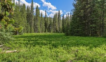 383 Red Lion Rd, Anaconda, MT 59711