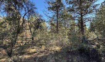 Bunting Drive, Bonanza, OR 97623