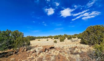 Show Low Pines Unit 3 lot 468, Concho, AZ 85924