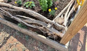 Raz Road lot 102, Ash Fork, AZ 86046