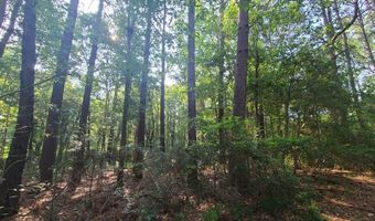 0 Thompson Ln, Carriere, MS 39426