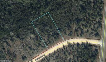 Lot 6 Cleveland Drive, Alford, FL 32420