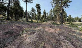 Luna lot 1581, Angel Fire, NM 87710