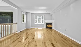 1303 Old Bridge Ln 1303, Bellingham, MA 02019