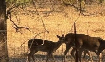 415347 E 1912 Rd, Antlers, OK 74523