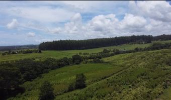1-3 PRIVATE Rd, Hakalau, HI 96710