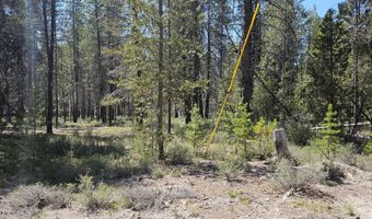 Jaguar Lane 29, Bonanza, OR 97623