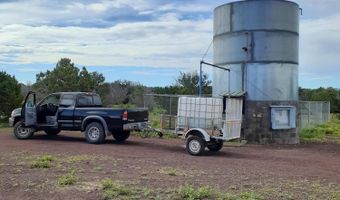 460 461 CR8301, Concho, AZ 85924