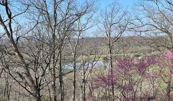 577 Schluersburg Rd, Augusta, MO 63332