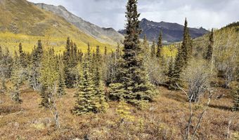 B005 Packsaddle Road, Chickaloon, AK 99674