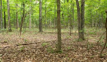 3899 County Road 304, Alton, MO 65606