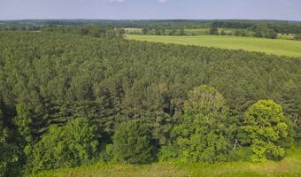 0 County Road 93, Anderson, AL 35610