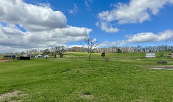 1600 Mary Lamons Rd, Afton, TN 37616