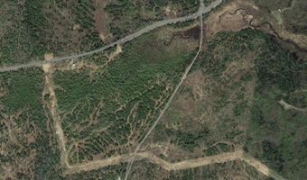 90 Gales Rd, Abbot, ME 04406