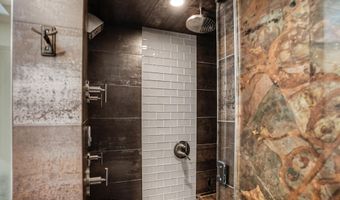 100 E Dean St 3C, Aspen, CO 81611
