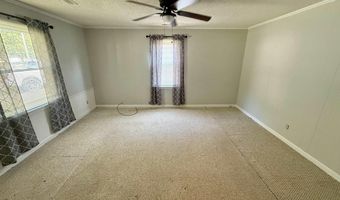 48 2nd St, Almo, KY 42020