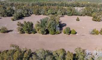 County Road 236 lot 4, Bell, FL 32619