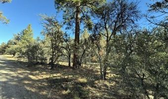 Bunting Drive, Bonanza, OR 97623