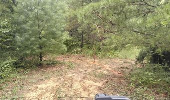00 Coal Branch Rd, Beattyville, KY 41311