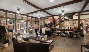 408 E Cooper Ave, Aspen, CO 81611