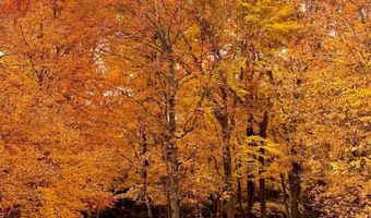 2564 Bunker Lake Blvd NE, Andover, MN 55304