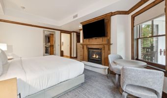 415 E Dean St Unit 19 Week 28, Aspen, CO 81611