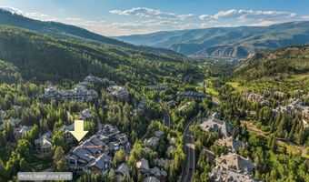 46 Red Spruce Ln 2, Beaver Creek, CO 81620