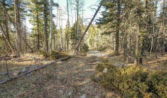 1004 And 1005 El Camino Real, Angel Fire, NM 87710