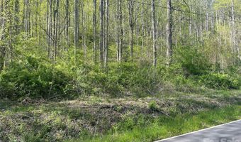 99999 Martins Creek Rd, Barnardsville, NC 28709