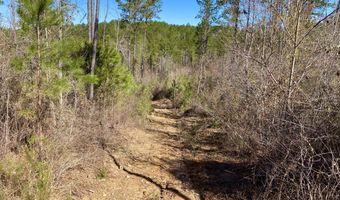 Adams Road - 1 & 2, Bankston, AL 35542