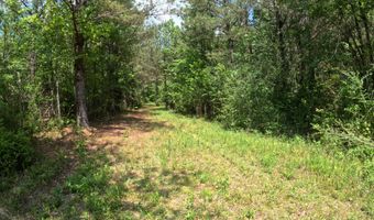 Christian Hts Road, Braxton, MS 39044