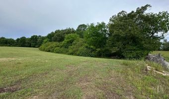HELICON Rd, Arley, AL 35541