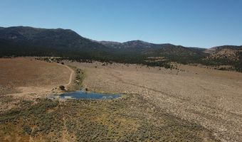 Segura & Fish Creek Ranch, Eureka, NV 89049