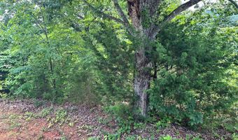 1 31 AC Wood River Ln, Allons, TN 38541