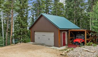 287 S Skinner Rd, Allenspark, CO 80510