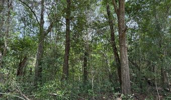 64 47 Ac Old Faceville Rd, Bainbridge, GA 39819