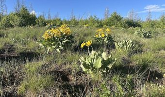 Tbd VISTA RIDGE LANE, Bondurant, WY 82922