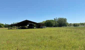 6491 Wolf Pond Rd, Bascom, FL 32423