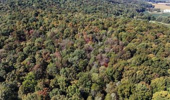 78 Nora Loop, Alpha, KY 42603