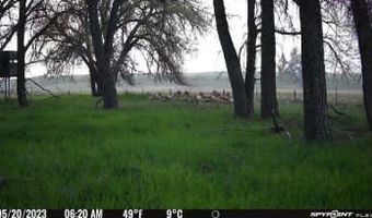 TBD County Road 170, Agate, CO 80101