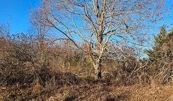 00 Hough, Almont, MI 48003