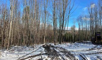 002 Duck Pond Rd Lot #2, Barton, VT 05822