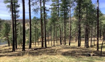 212 Lake Shore Dr 1, Alto, NM 88312