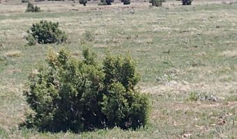 425 N 8051, Concho, AZ 85924