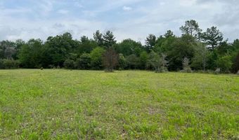 R13945 A0049 J Peterson Tract 11 Acres, Anderson, TX 77830