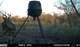 216 County Road 171, Alice, TX 78332