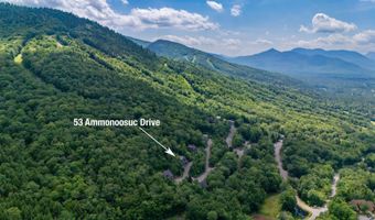 53 Ammonoosuc Dr, Bartlett, NH 03812